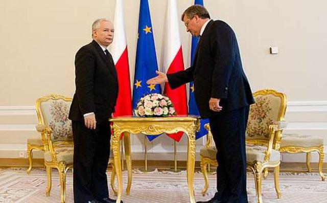 Kaczor Komor